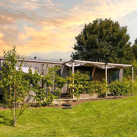 The Hive - Unique Hot Tub Cabin In Millport Exteriör bild